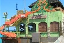 Negril Day and Sunset Tour